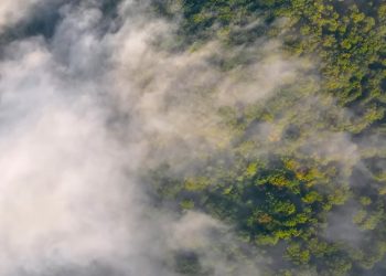 Menggali Potensi Hayati Indonesia untuk Masa Depan Berkelanjutan