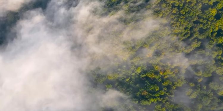 Menggali Potensi Hayati Indonesia untuk Masa Depan Berkelanjutan