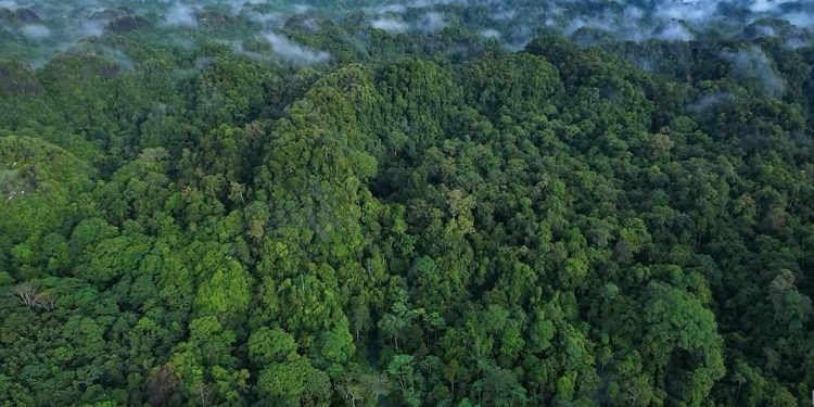 Menggali Potensi Hayati Indonesia untuk Masa Depan Berkelanjutan