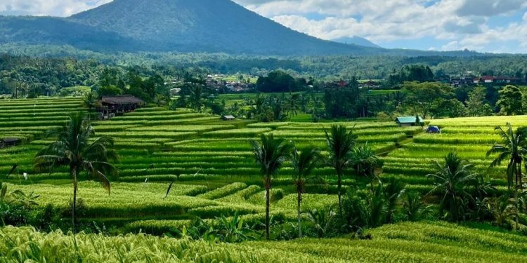 2 Desa Wisata Indonesia Raih Penghargaan UN Tourism 2024