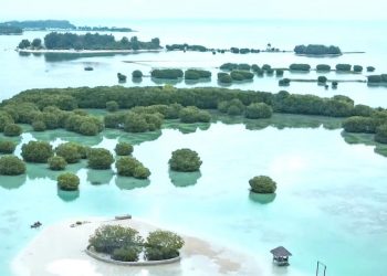 IBSAP: Panduan Konservasi Keanekaragaman Hayati akibat Perubahan Iklim