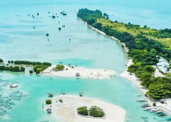 IBSAP: Panduan Konservasi Keanekaragaman Hayati akibat Perubahan Iklim