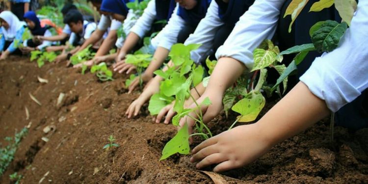 KONSERVASI LAHAN: Kota Bandung Galakkan Penghijauan Besar-besaran