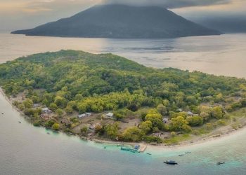 Riset Ungkap Hubungan Tanaman dan Bahasa di Pulau Alor
