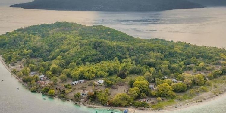 Riset Ungkap Hubungan Tanaman dan Bahasa di Pulau Alor