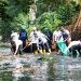 Menteri LH Pimpin Langsung Aksi Bersih Sungai di Jakarta