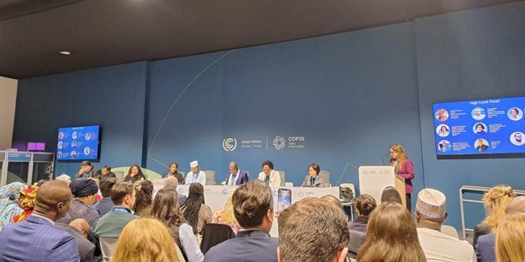 COP29: Indonesia Perlu Sumber Pendanaan Iklim yang Lebih Adil