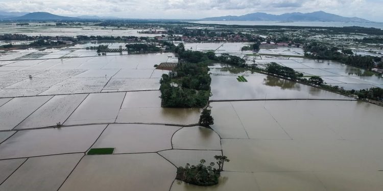 Perubahan Iklim Jadi Tantangan Utama Pertanian dan Pangan di 2024