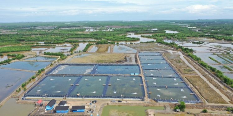 Para Pakar Bahas Pangan Akuatik, Solusi Gizi dan Lingkungan Berkelanjutan