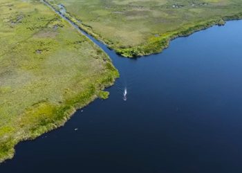 Masyarakat Adat Minta Taman Nasional Wasur Dilindungi Selamanya