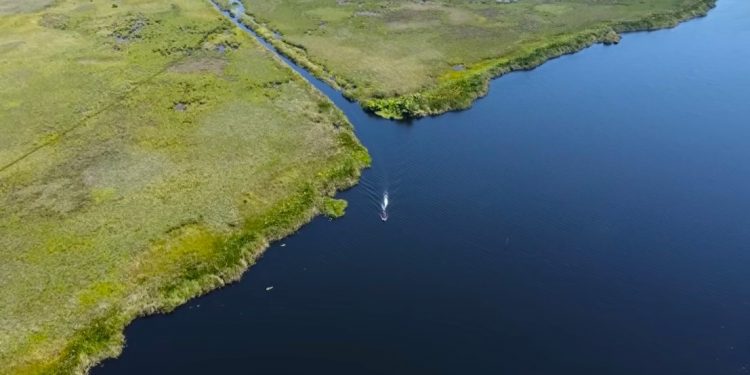Masyarakat Adat Minta Taman Nasional Wasur Dilindungi Selamanya