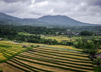 Desa Wisata Jatiluwih Konsisten Terapkan Pariwisata Berkelanjutan