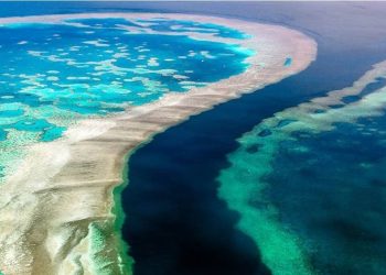 Deklarasi Sydney: Indonesia-Australia-PNG Kolaborasi Ekonomi Biru