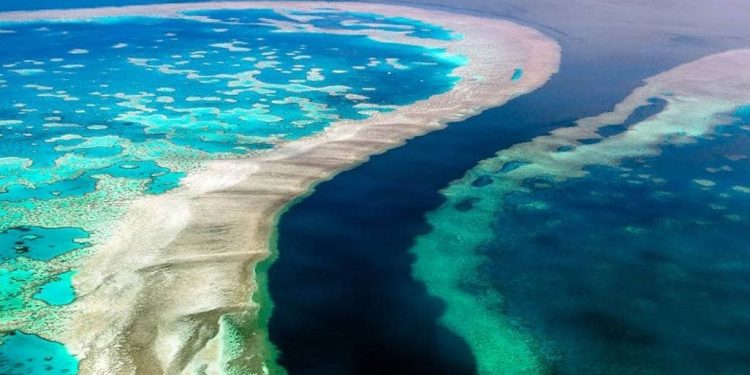 Deklarasi Sydney: Indonesia-Australia-PNG Kolaborasi Ekonomi Biru