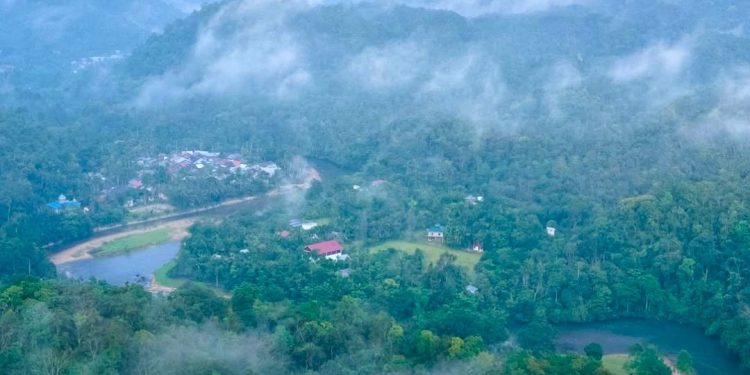 Tekan Emisi GRK, Riau Dapat Dana Kompensasi Rp32,8 Miliar dari UN-REDD