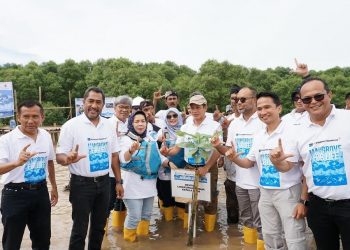 Freeport Indonesia Galakkan Konservasi Mangrove di Deli Serdang