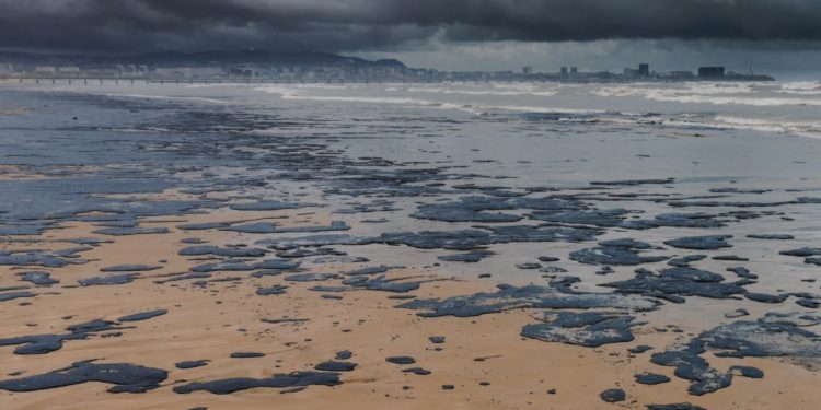Tumpahan Minyak Besar-besaran Mencemari Pantai dan Laut Hitam di Rusia