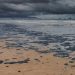 Tumpahan Minyak Besar-besaran Mencemari Pantai dan Laut Hitam di Rusia