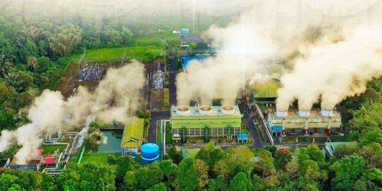 PLN Gandeng WWF Adaptasikan Kinerja Perusahaan Berbasis Alam