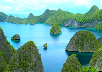 Para Ahli Paparkan Kunci Pembangunan Berkelanjutan di IKN dan Papua Barat Daya