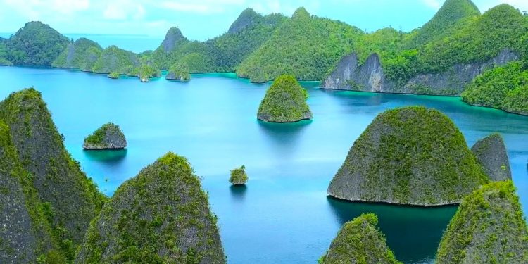 Para Ahli Paparkan Kunci Pembangunan Berkelanjutan di IKN dan Papua Barat Daya