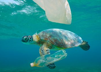 Para Ahli Rancang Inovasi Teknologi Iradiasi untuk Daur Ulang Plastik Berbasis Ekonomi Sirkular