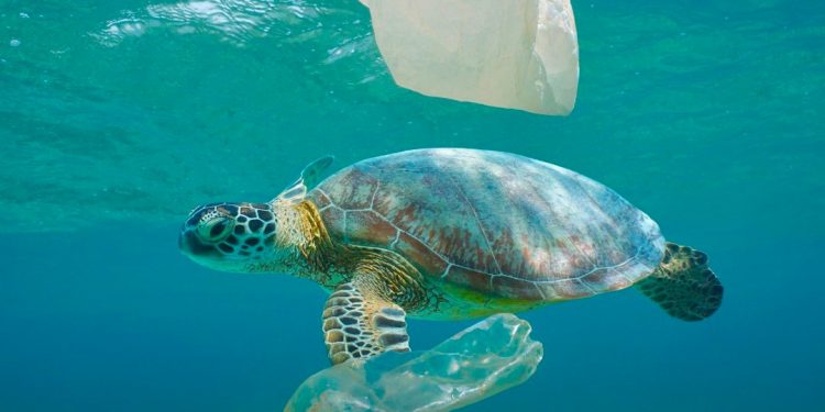 Para Ahli Rancang Inovasi Teknologi Iradiasi untuk Daur Ulang Plastik Berbasis Ekonomi Sirkular