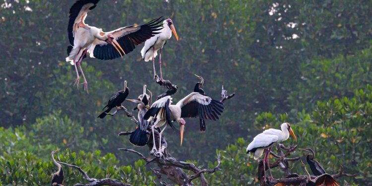 Kawasan Konservasi Kepulauan Seribu Hadapi Ancaman Sampah