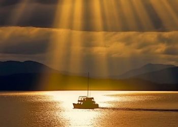 Dampak Perubahan Iklim, Hari Terpanas Sepanjang 2024 Bertambah 41 Hari