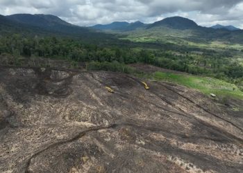 Tanah Hitam Melimpah di Indonesia, Namun Terancam Hilang