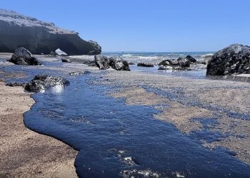Tumpahan Minyak di Samudera Pasifik, Peru Tetapkan Darurat Lingkungan