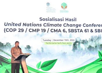 COP29 UNFCCC di Azerbaijan, Apa Hasilnya Bagi Indonesia?