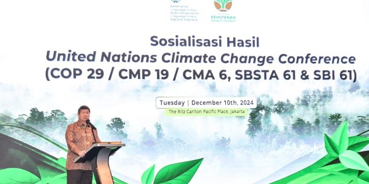 COP29 UNFCCC di Azerbaijan, Apa Hasilnya Bagi Indonesia?