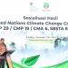 COP29 UNFCCC di Azerbaijan, Apa Hasilnya Bagi Indonesia?