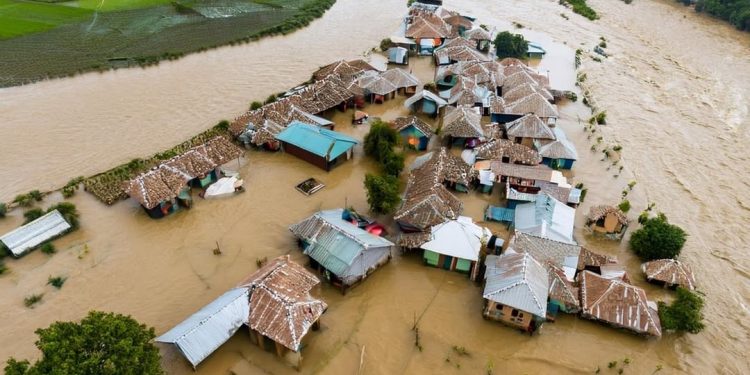 UNICEF: 242 Juta Anak di Dunia Kehilangan Jam Belajar Akibat Krisis Iklim