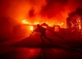 Terungkap Pemicu Kebakaran Hutan Los Angeles