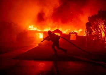Terungkap Pemicu Kebakaran Hutan Los Angeles