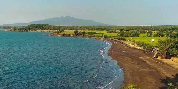 Indonesia Potensial Kembangkan Padi Tahan Air Laut di Garis Pantai
