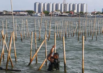 Pagar Laut Sepanjang 30 Km di Tangerang Akhirnya Dibongkar