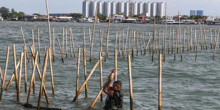 Pagar Laut Sepanjang 30 Km di Tangerang Akhirnya Dibongkar