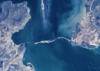 Tumpahan Minyak di Selat Kerch Membunuh Puluhan Lumba-lumba