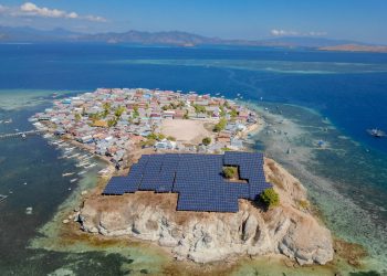 IRENA Sebut Indonesia Berperan Strategis dalam Transisi Energi di ASEAN