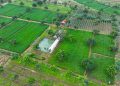 Agroforestry Perhutanan Sosial Diluncurkan, untuk Dukung Ketahanan Pangan
