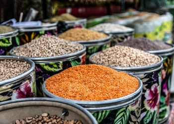 FAO Ajak Masyarakat Konsumsi Kacang-kacangan Lokal