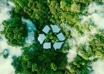 Apa Pentingnya Ekosistem Perdagangan Karbon Bagi Indonesia?