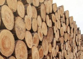 Terapkan SVLK, Produk Kayu Indonesia Siap Hadapi EUDR