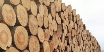 Terapkan SVLK, Produk Kayu Indonesia Siap Hadapi EUDR