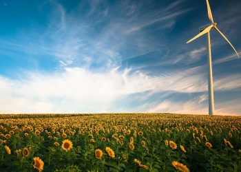 Proyek Energi Bersih Tetap Diminati Investor