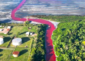 Geger Sungai ‘Darah’ di Argentina akibat Tercemar Limbah