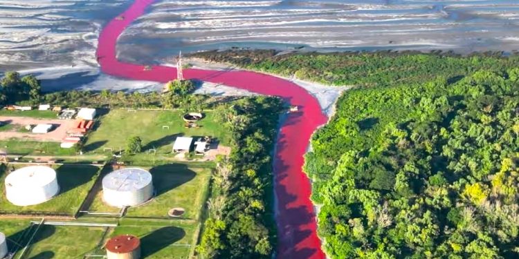 Geger Sungai ‘Darah’ di Argentina akibat Tercemar Limbah